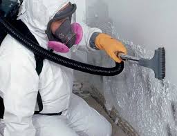 Best Mold Odor Removal Services in Wmington, IL